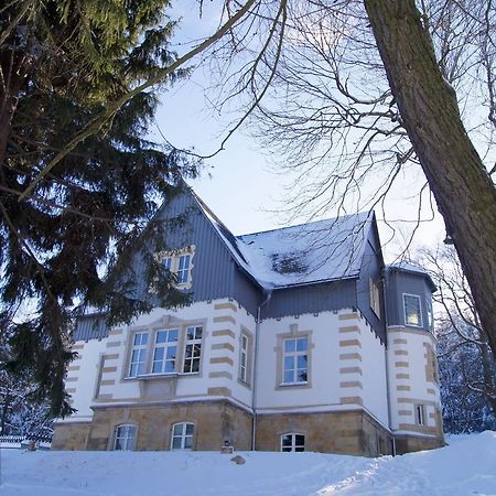 Villa-Unger Альтенберг Экстерьер фото