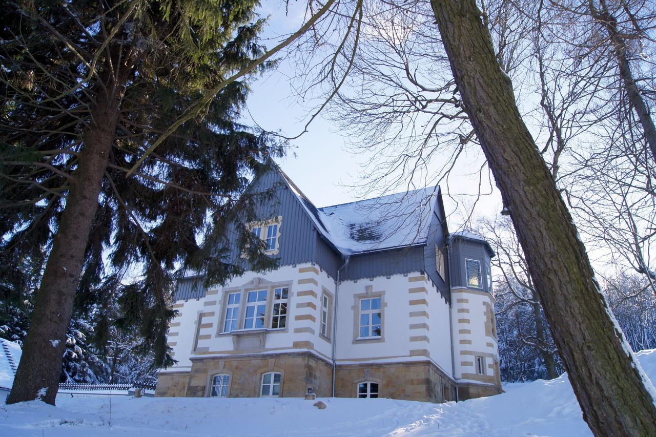 Villa-Unger Альтенберг Экстерьер фото